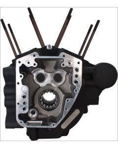 S&S Cycle Black Twin Cam High Performance Engine 4.125" Bore Case Harley 07-16