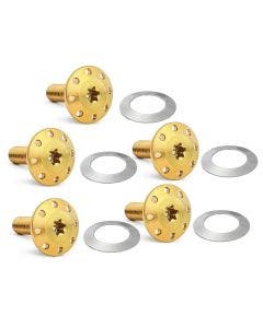 Arlen Ness Titanium Gold  Front Holeshot Floating Brake Rotor Bolt Harley 14-24 FLH