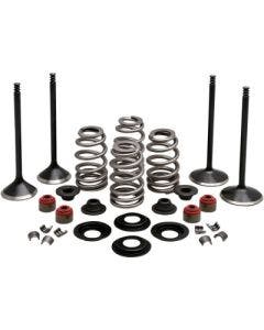 Kibblewhite 20-23150 Black Diamond Stainless Steel Valve Kit H-D Twin Cam 05-17