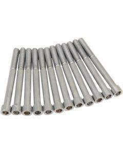 Drag Chrome Smooth M8 Crankcase Bolt Kit 4 Harley 17-22 M8 Models