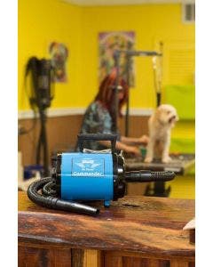 Metro Vac 114-142799 Air Force Commander Blue Color 2 Speed 4 Hp Dog Pet Grooming Dryer