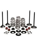 Kibblewhite 20-23150 Black Diamond Stainless Steel Valve Kit H-D Twin Cam 05-17