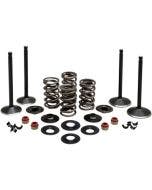 Kibblewhite 20-23050 Black Diamond Stainless Steel Valve Kit H-D Twin Cam 99-04