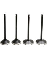 Kibblewhite 20-23100 Black Diamond Stainless Steel Valve Kit H-D Twin Cam 05-17