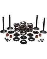 Kibblewhite 20-22450 Black Diamond Engine Steel Valve Kit Shovelhead 74 66-77