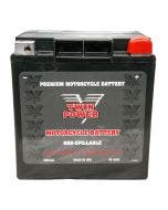 Twin Power YIX30L High Performance Maintenance Free Battery for Harley 