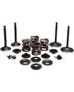 Kibblewhite 20-22250 Black Diamond Engine Steel Valve Kit Sportster XL 57-69