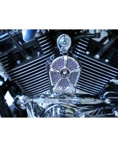 LeNale Engine Cooling Fan - Chrome - 17-22 Touring Harley Davidson - New Design!